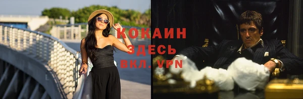 твердый Мегион