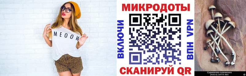 где найти   Балахна  blacksprut как зайти  Галлюциногенные грибы Magic Shrooms 